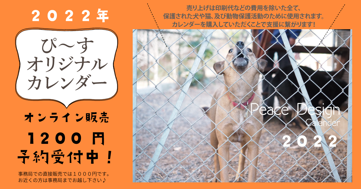 NPO法人 Peace Design 目指せ犬猫殺処分ゼロ！ 三重県志摩市の動物愛護 